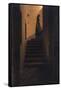 Caroline on the Stairs, 1825-Caspar David Friedrich-Framed Stretched Canvas