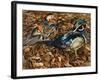 Carolonia Ducks, 1991-Sandra Lawrence-Framed Giclee Print