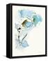 Carols Roses II Blue-Shirley Novak-Framed Stretched Canvas