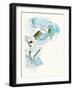Carols Roses II Blue-Shirley Novak-Framed Art Print