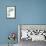 Carols Roses II Cerulean-Shirley Novak-Framed Stretched Canvas displayed on a wall