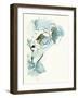 Carols Roses II Cerulean-Shirley Novak-Framed Art Print