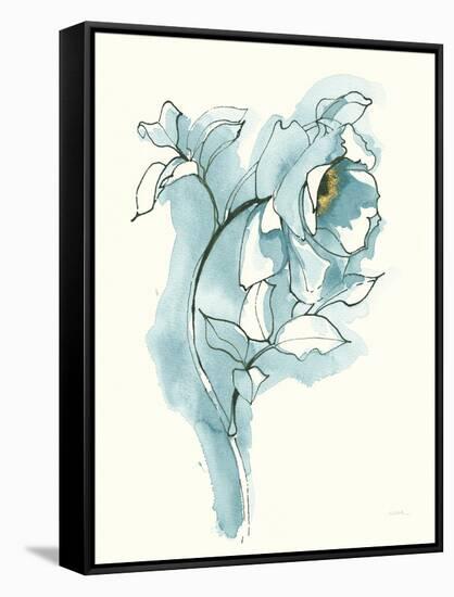 Carols Roses III Blue-Shirley Novak-Framed Stretched Canvas