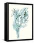 Carols Roses III Blue-Shirley Novak-Framed Stretched Canvas