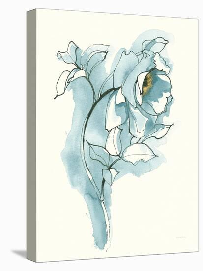 Carols Roses III Blue-Shirley Novak-Stretched Canvas