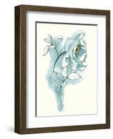 Carols Roses III Blue-Shirley Novak-Framed Art Print