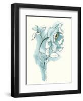 Carols Roses III Blue-Shirley Novak-Framed Art Print