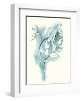 Carols Roses III Blue-Shirley Novak-Framed Art Print