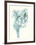 Carols Roses III Blue-Shirley Novak-Framed Art Print