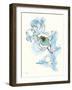 Carols Roses IV Blue-Shirley Novak-Framed Art Print