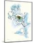 Carols Roses IV Blue-Shirley Novak-Mounted Art Print