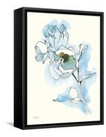 Carols Roses IV Blue-Shirley Novak-Framed Stretched Canvas