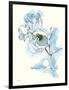 Carols Roses IV Blue-Shirley Novak-Framed Art Print