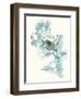 Carols  Roses IV Cerulean-Shirley Novak-Framed Art Print