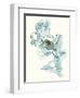 Carols  Roses IV Cerulean-Shirley Novak-Framed Art Print