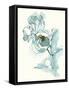 Carols  Roses IV Cerulean-Shirley Novak-Framed Stretched Canvas