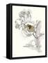 Carols Roses IV Tan-Shirley Novak-Framed Stretched Canvas