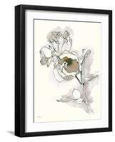 Carols Roses IV Tan-Shirley Novak-Framed Art Print