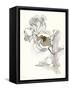 Carols Roses IV Tan-Shirley Novak-Framed Stretched Canvas