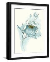 Carols Roses V Blue-Shirley Novak-Framed Art Print