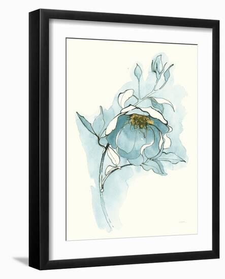 Carols Roses V Blue-Shirley Novak-Framed Art Print