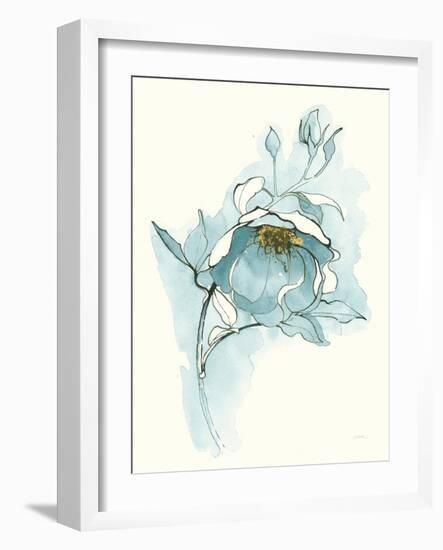 Carols Roses V Blue-Shirley Novak-Framed Art Print