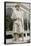 Carolus Linnaeus Statue at Sefton Park Palm House-Michael Nicholson-Framed Stretched Canvas