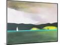 Wood Mount