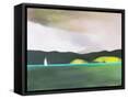 Framed Canvas