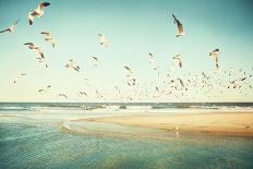 Low Tide-Carolyn Cochrane-Photographic Print