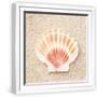 White Frame
