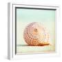 White Frame