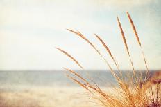 Low Tide-Carolyn Cochrane-Photographic Print