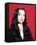 Carolyn Jones, The Addams Family (1964)-null-Framed Stretched Canvas