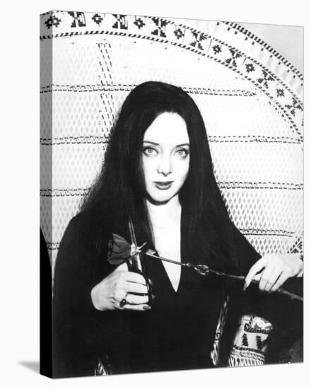 Carolyn Jones - The Addams Family-null-Stretched Canvas