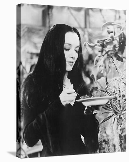 Carolyn Jones - The Addams Family-null-Stretched Canvas