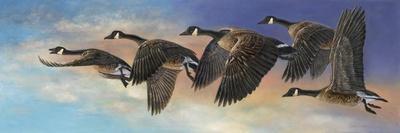 Soaring-Carolyn Mock-Framed Art Print