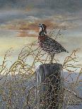 Quail on a Post-Carolyn Mock-Art Print