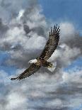 Soaring-Carolyn Mock-Mounted Art Print