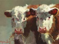 Cow Belles-Carolyne Hawley-Art Print
