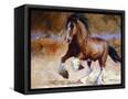 Canvas Black