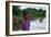 Caroni Chennette-Colin Bootman-Framed Giclee Print