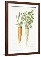 Carott, 1857-P Naudin-Framed Giclee Print