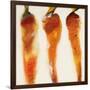 Carottes, c.2006-Nathalie Clement-Framed Premium Giclee Print