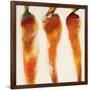 Carottes, c.2006-Nathalie Clement-Framed Premium Giclee Print