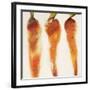 Carottes, c.2006-Nathalie Clement-Framed Premium Giclee Print