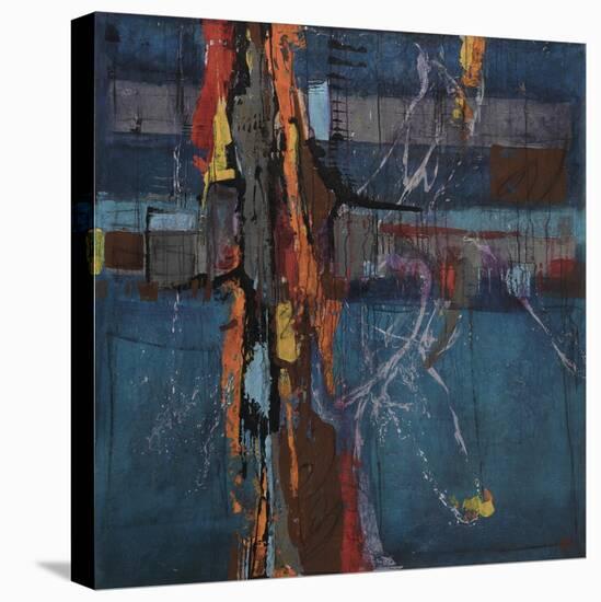 Carousal-Joshua Schicker-Stretched Canvas