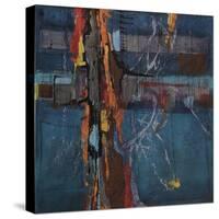 Carousal-Joshua Schicker-Stretched Canvas