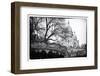 Carousel 18th century - Sacré-Cœur Basilica - Montmartre - Paris - France-Philippe Hugonnard-Framed Photographic Print