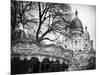 Carousel 18th century - Sacré-Cœur Basilica - Montmartre - Paris - France-Philippe Hugonnard-Mounted Photographic Print